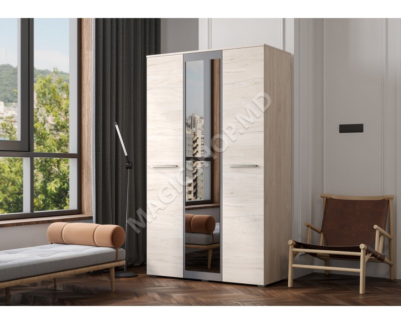 Dulap Bari 3D13 Hykory Rockford Deschis/Grafit Gri